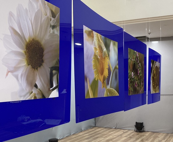 Novo Shopping recebe exposição "Florir"