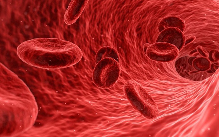 Hemocentro de Ribeirão abre vagas para cursos de Hemoterapia e Medicina Transfusional
