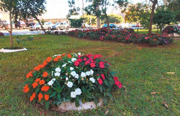 Sobre flores e gestão