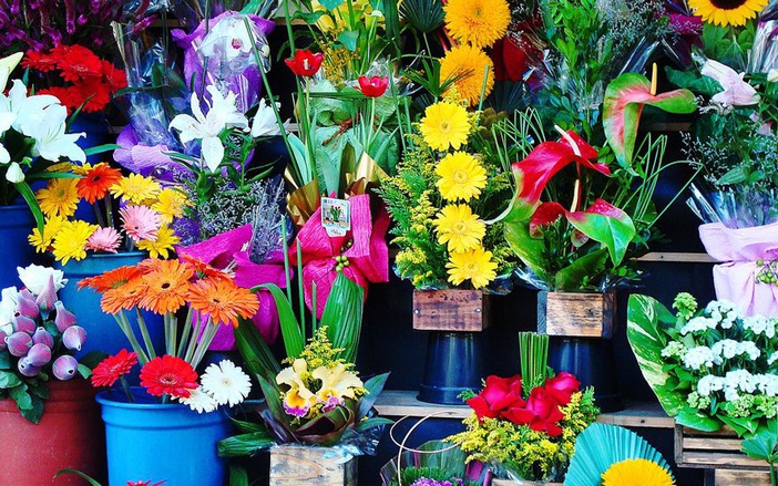 Dupla é presa após praticar assalto a floricultura de Ribeirão Preto