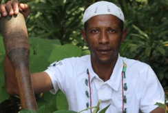 Sesc promove oficina sobre plantas medicinais