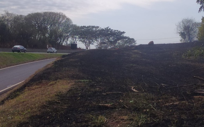 Incêndio atinge área de vegetação às margens do Anel Viário Sul, em Ribeirão Preto