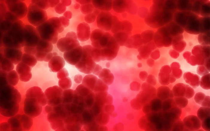 Banco de Sangue celebra mês do doador com atividades de conscientização