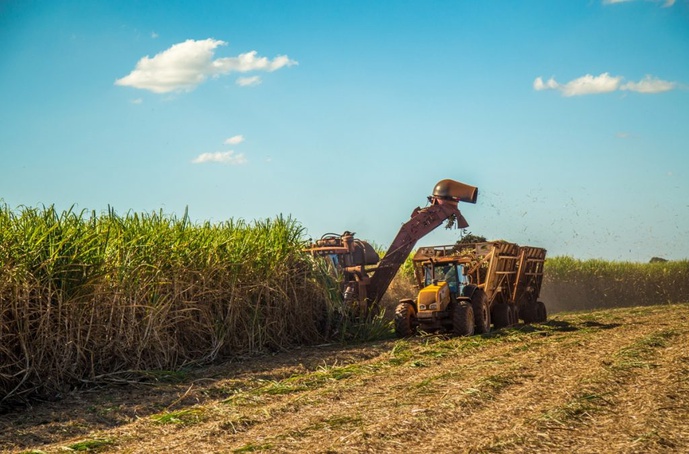 Setor sucroalcooleiro é destaque nas exportações do agro paulista