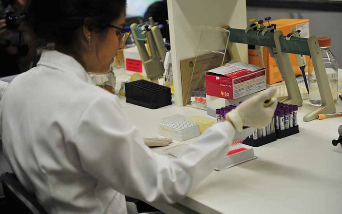 USP inicia pesquisa com gestantes sobre o Zika Vírus