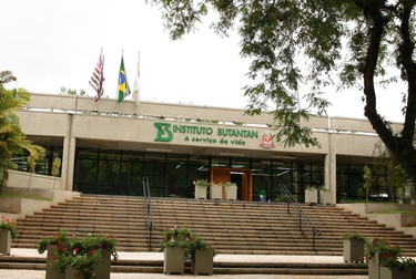 Vacina contra a dengue do Butantan atinge eficácia de 79,6%