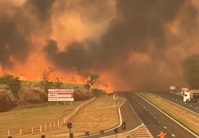 Governo de SP cria gabinete de crise para ações contra grandes incêndios no interior