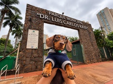 Parque Raya terá encontro de salsichas