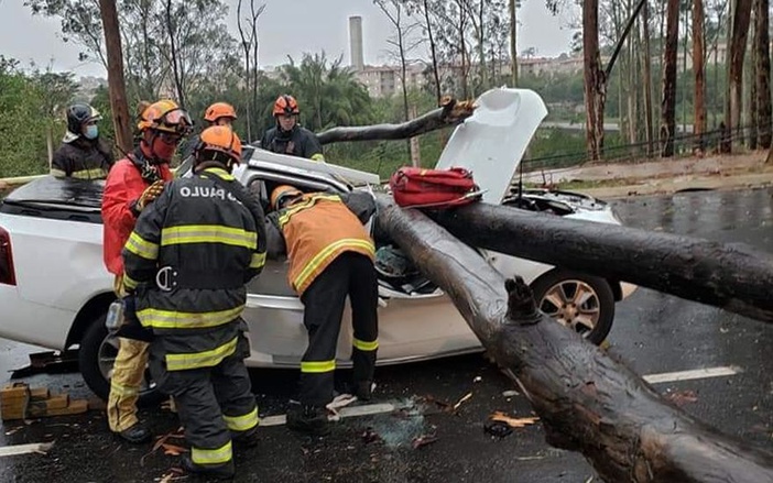 Tempestade derruba 37 árvores em Ribeirão Preto