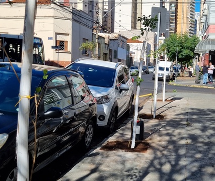 Acirp articula plantio de árvores no Centro junto à Prefeitura de Ribeirão Preto