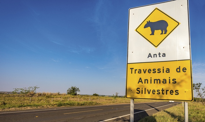 Governo de SP reforça ações para proteção de animais silvestres nas rodovias paulistas