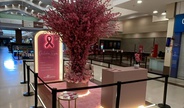 Novo Shopping promove ação interativa de conscientização sobre o Outubro Rosa