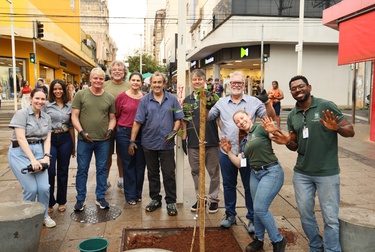 Acirp orienta plantio de árvores em Ribeirão Preto