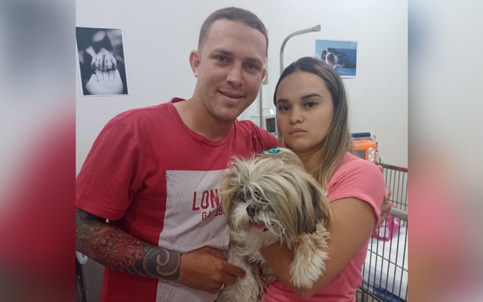 Cadelinha sofre acidente após se assustar com fogos de artifício, em Ribeirão Preto