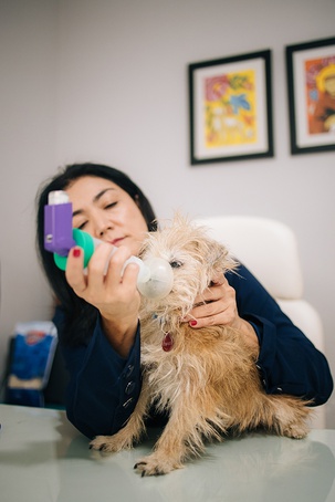 Tempo seco, quente e poluído castiga PETs