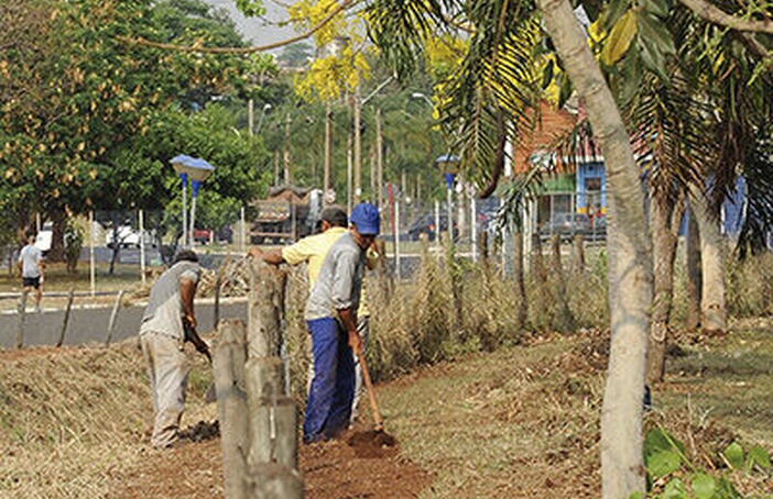 Capivaras voltam ao parque