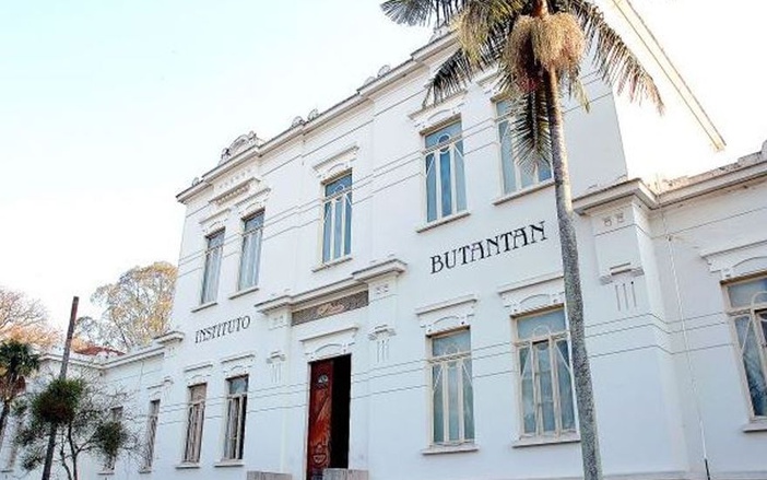 São Paulo vai testar novo soro do Butantan no tratamento de pacientes com coronavírus