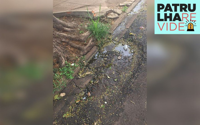 Patrulha Revide: buracos prejudicam o tráfego de veículos na Rua Itaguaçu, Zona Norte de Ribeirão Preto