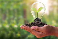 Ribeirão Preto recebe 3º Fórum de Educação Ambiental