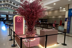 Novo Shopping promove ação interativa de conscientização sobre o Outubro Rosa