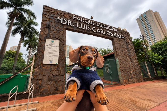 Parque Raya terá encontro de salsichas