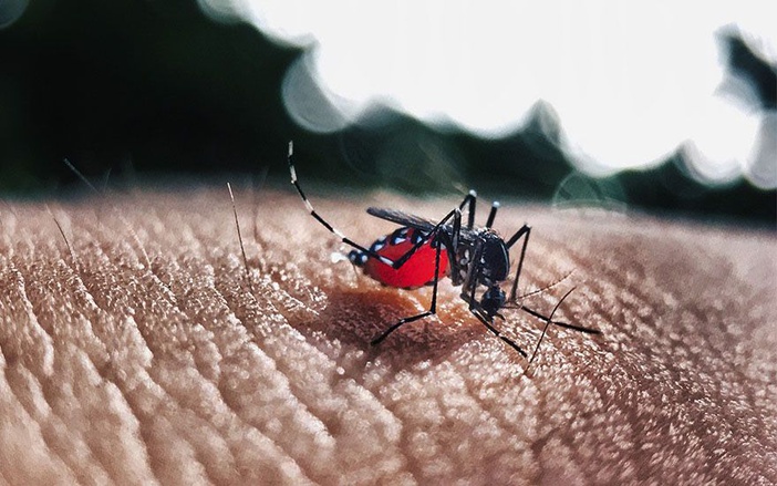 Federação dos Hospitais faz alerta sobre atendimento de pessoas com sintomas da dengue tipo 2