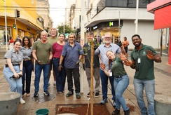 Acirp orienta plantio de árvores em Ribeirão Preto