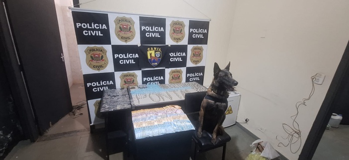 Operação da Polícia Civil de Pontal resulta em prisões e apreensão de drogas