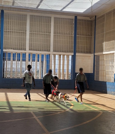 Fundação CASA de Ribeirão Preto recebe visita de cães terapeutas