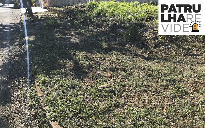 Patrulha Revide: mato alto em calçada de terreno atrapalha passagem de moradores do Jardim São Luiz
