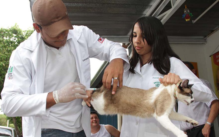 Campanha de vacinação contra a raiva animal termina neste sábado, 20