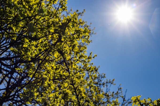 Semana em Ribeirão Preto terá sol, calor e pancadas de chuva isoladas