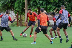 Botafogo e Novorizontino duelam em fases opostas na Série B