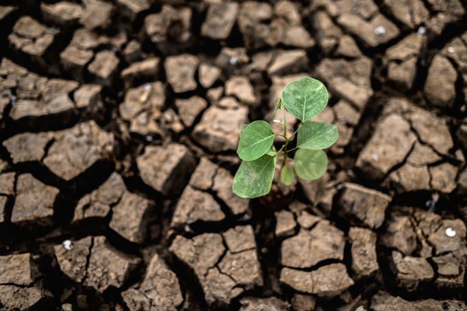 Brasil tem aumento de até 3ºC na temperatura de algumas regiões