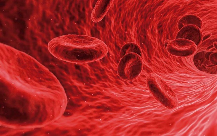Imunoterapia: uma nova abordagem no tratamento do câncer