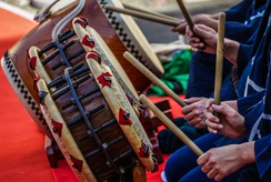 Festival Mundo Asiático reúne cultura, arte e gastronomia em Ribeirão Preto