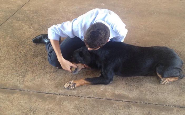 Dono de cão esclarece tratamento recebido pelo animal