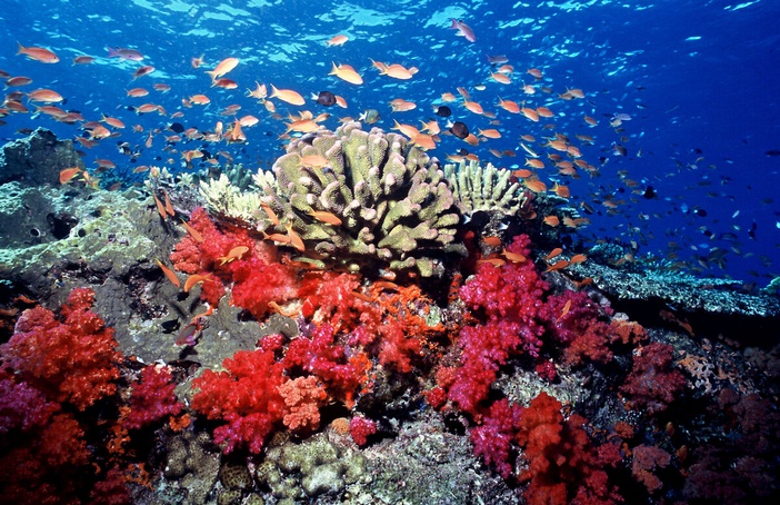 Living Blue Planet