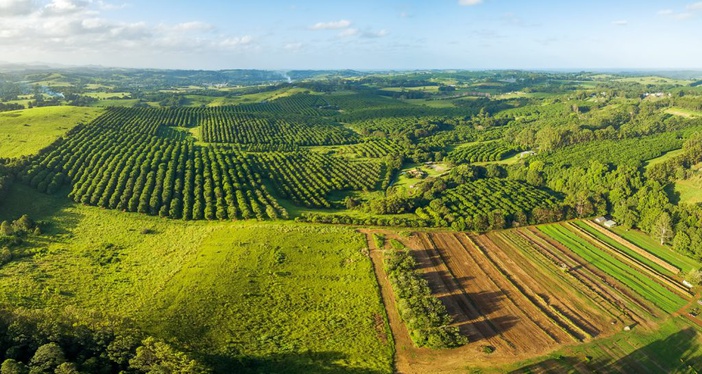 Mudanças na declaração de Imposto de Renda do Produtor Rural