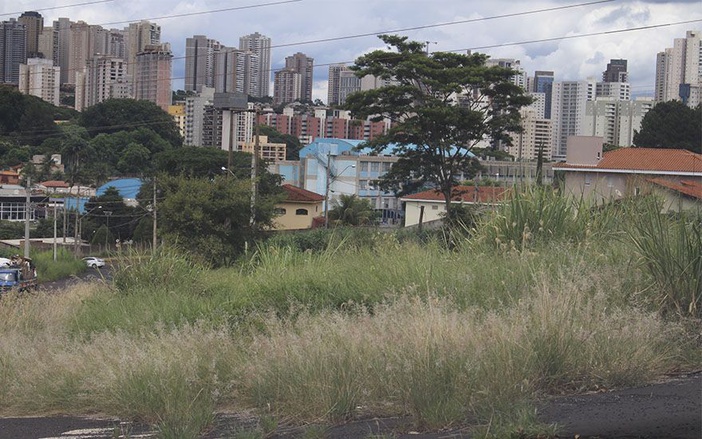 Prefeitura de Ribeirão promete roçar 1 milhão de metros quadrados de mato alto em Fevereiro