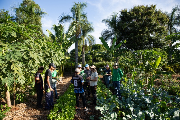 Encontro de Agroecologia e Agrofloresta acontece no dia 28 de julho, em Santa Rosa de Viterbo