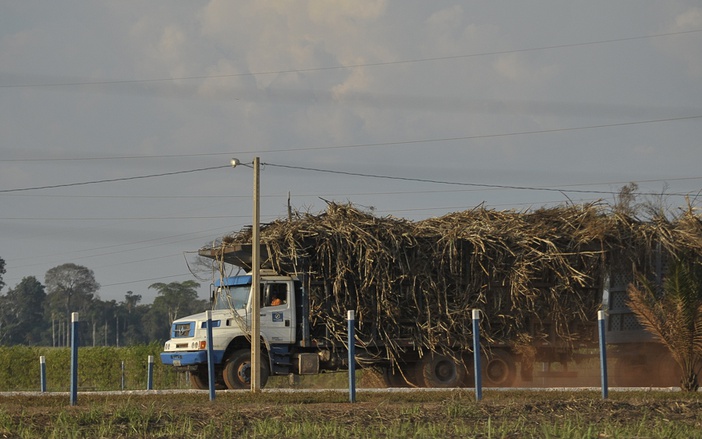 Produção canavieira deve crescer em 2016