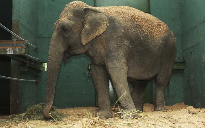 Bosque/Zoo Fábio Barreto abre normalmente neste 7 de Setembro