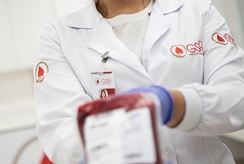 Banco de Sangue de Ribeirão Preto faz apelo por doações