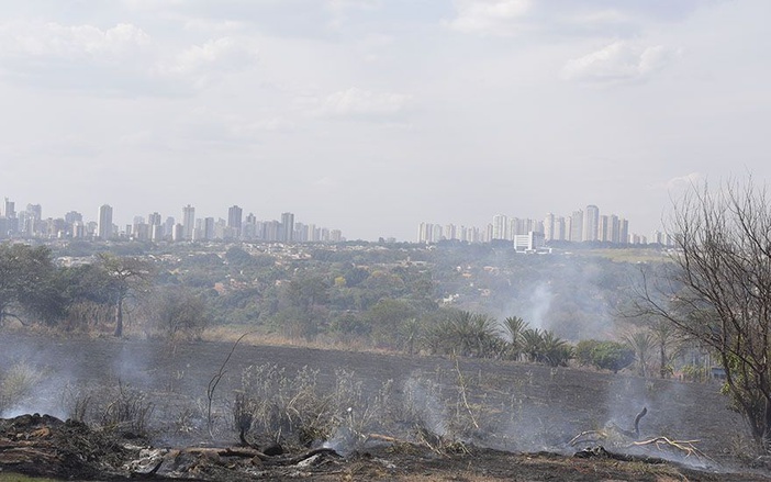 Ribeirão Preto registrou dois focos de queimada por dia em agosto