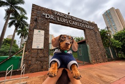 Parque Raya terá encontro de salsichas