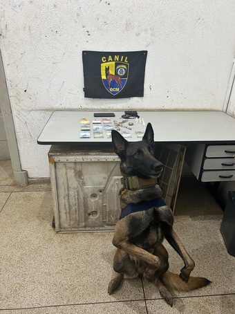 Homem é preso por tráfico de drogas em Ribeirão Preto