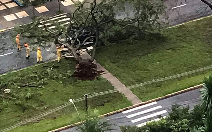Temporal provoca estragos em Ribeirão Preto na tarde deste domingo, 10