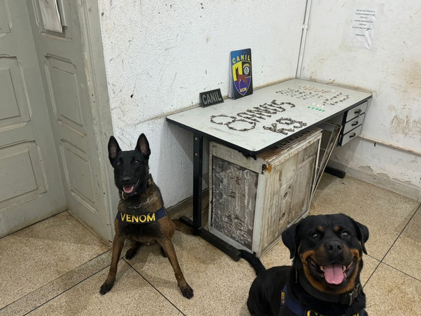 Cães da GCM localizam drogas em construção próxima à avenida Caramuru, em Ribeirão Preto