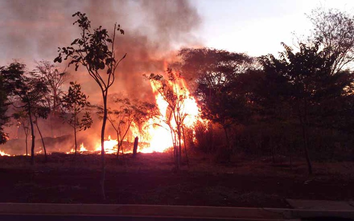 Fogo atinge mata do Bairro Nova Aliança Sul